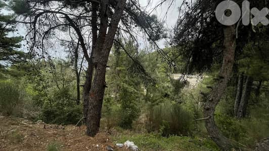 RWB132SN - Land for sale in Barhalioun - Becharre