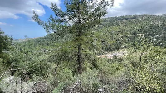 RWB138SN - Land for sale in Behouaita - Zgharta