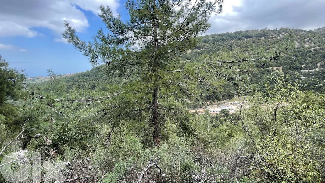 RWB138SN - Land for sale in Behouaita - Zgharta 0