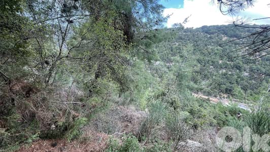 RWB138SN - Land for sale in Behouaita - Zgharta