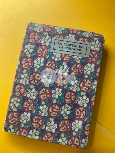 vintage book French language