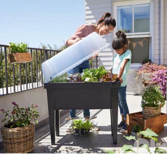 High level Planter 1