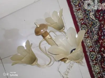 صيدا بيساريه