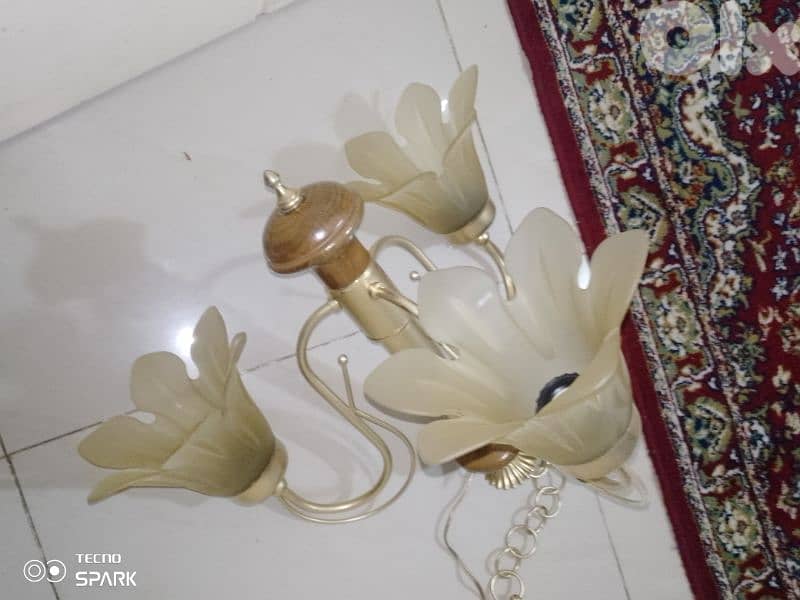 صيدا بيساريه 0