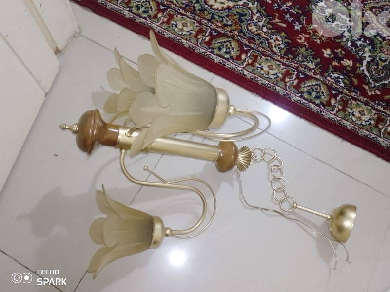 صيدا بيساريه 3