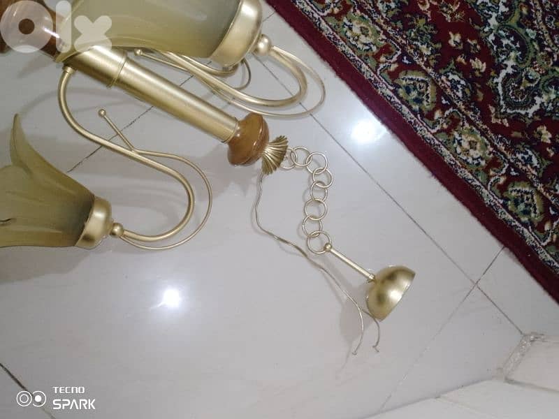صيدا بيساريه 4