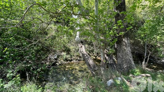 RWB143SN - Land for sale in Ijdabrine Koura