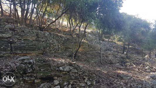 Chabtine - Batroun