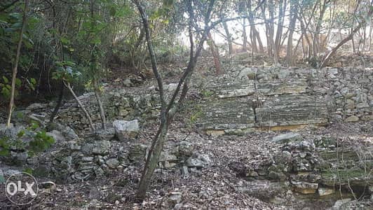 Chabtine - Batroun