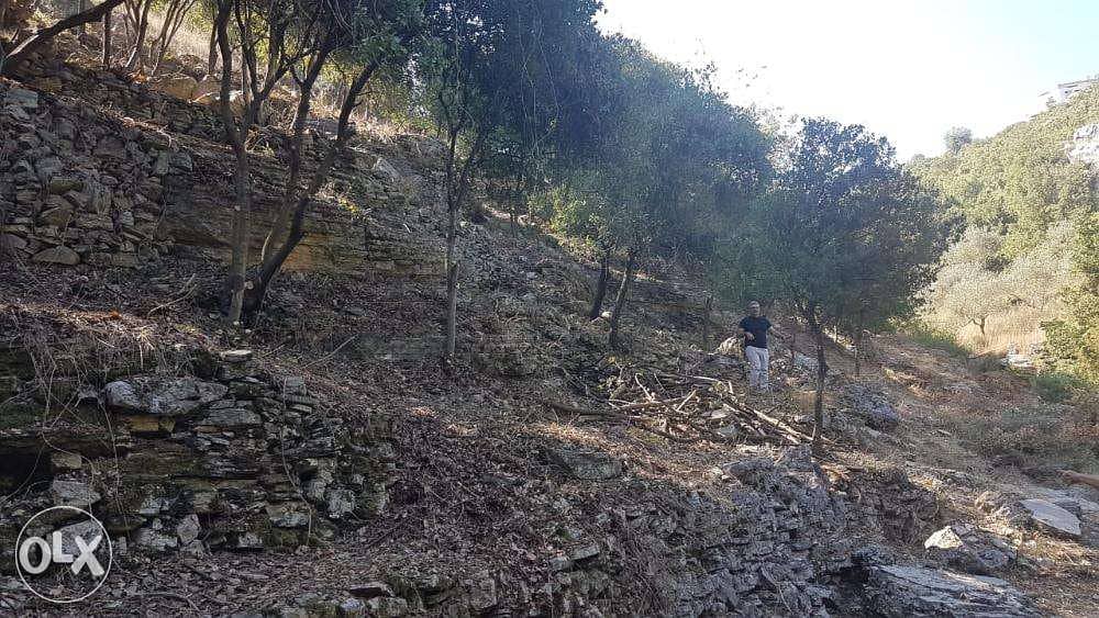 Chabtine - Batroun 2