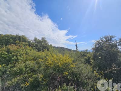 RWB302EA - Land for sale in Safra