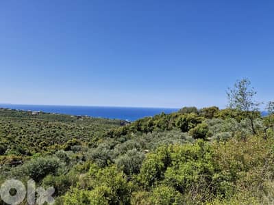 Land for sale in Berbara أرض للبيع في البربارة