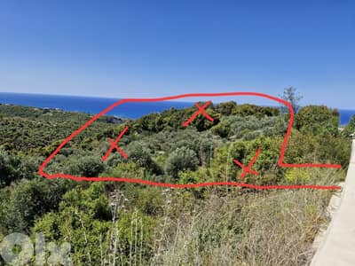 Land for sale in Berbara أرض للبيع في البربارة