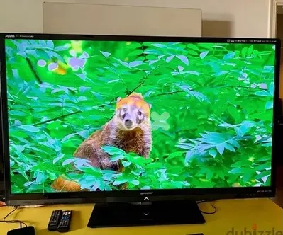 Sharp 60 inch
