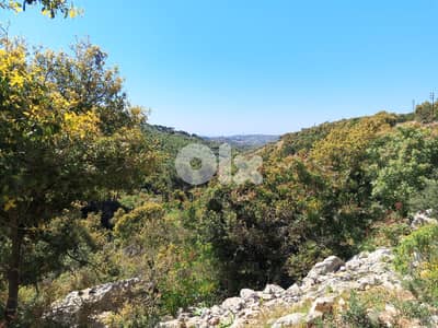 A 6418 m2 land for sale in Kfarchleiman-Batroun-كفرشليمان - البترون