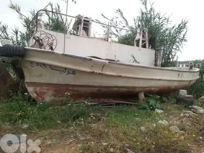 شختوره صيد سمك