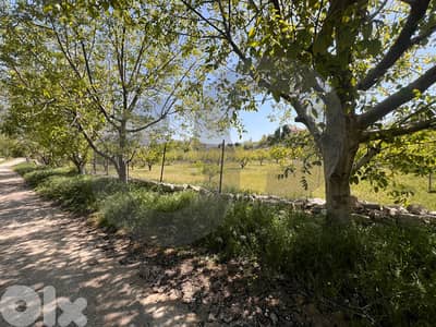 stunning views , peaceful neighborhood in aley/عاليه REF#TS120472