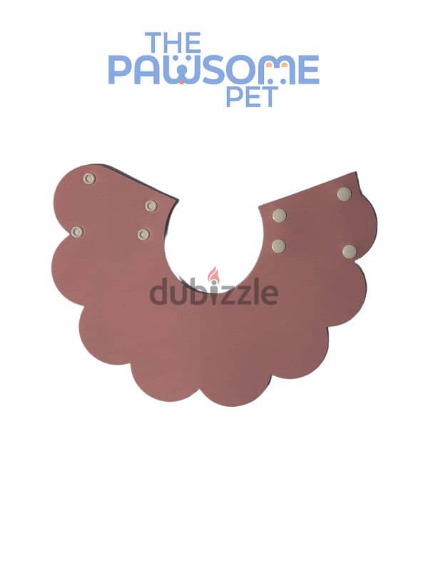 Pawsome's Elizabeth collar 6