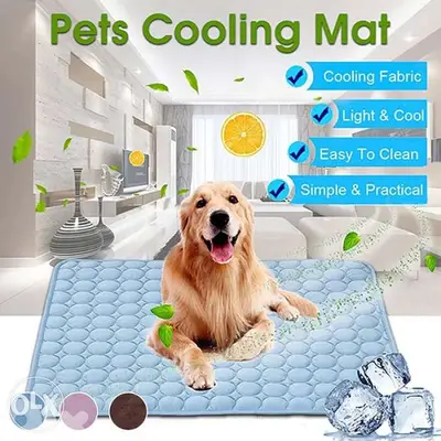 pets mattress dog and cat