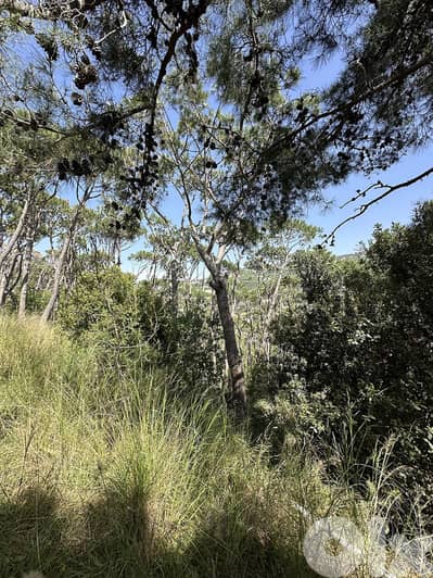 Land for Sale in Kornet Chehwan