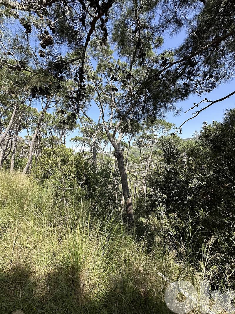 Land for Sale in Kornet Chehwan 1