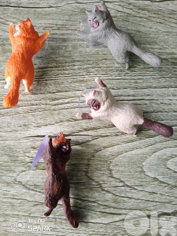 Funny cat lifter 3