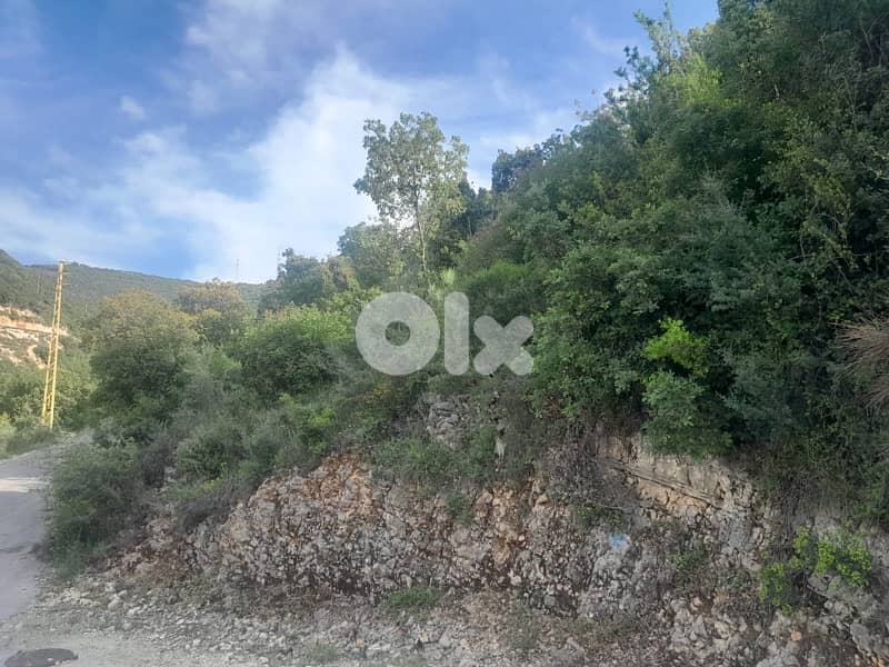 land for sale located Batroûn ( 24 min away ) 0