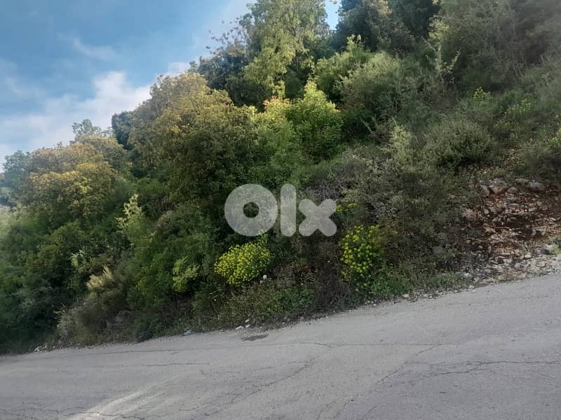 land for sale located Batroûn ( 24 min away ) 1
