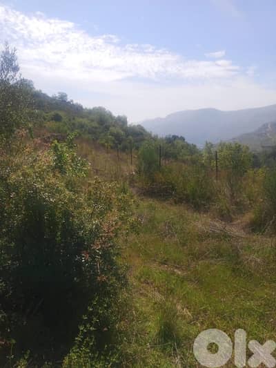 ارض مع بيت للبيع في الرملية عاليهland for sale in ramlye aley