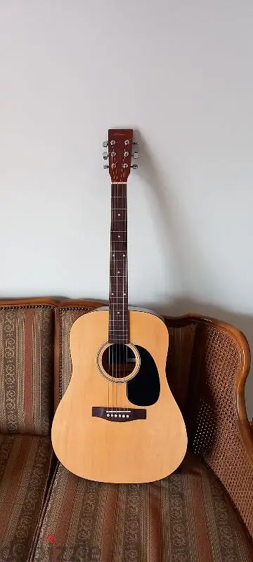 Acoustic Guitar