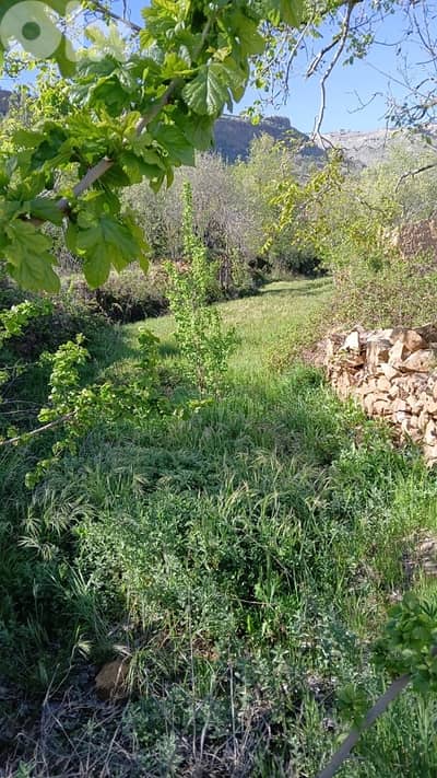 أرض للبيع في مغيرة جبيل land for sale in jbeil