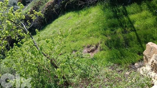 أرض للبيع في مغيرة جبيل land for sale in jbeil
