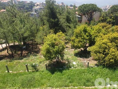 land for sale in daher souwan أرض للبيع في ضهر الصوان