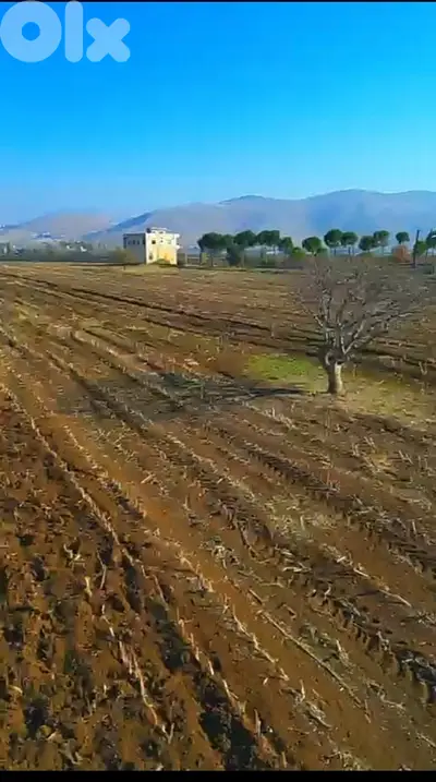Land for sale in West Beqaa | أرض للبيع في البقاع الغربي