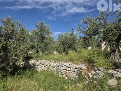 RWB127CC - Land for sale in Mejdel Koura أرض للبيع في مجدل الكورة