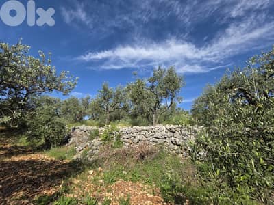 RWB127CC - Land for sale in Mejdel Koura أرض للبيع في مجدل الكورة