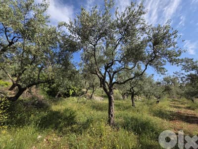 RWB127CC - Land for sale in Mejdel Koura أرض للبيع في مجدل الكورة