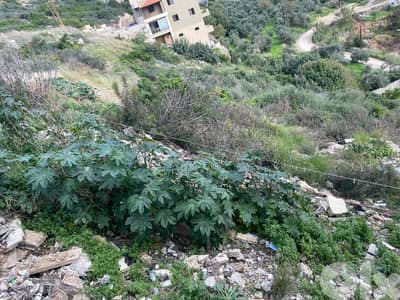 Land for sale in Batroun - أرض للبيع في البترون