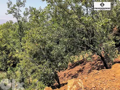 Land for Sale in Kfaraakab (12mins from Baskinta) أرض للبيع غي كفرعقاب