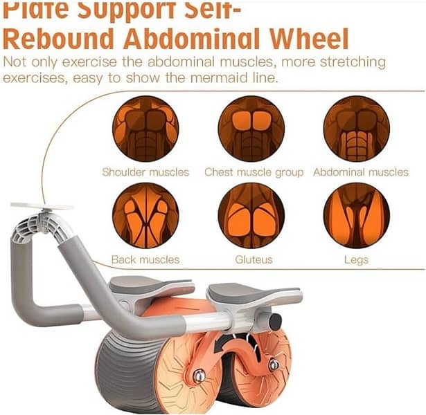 abs wheel 0