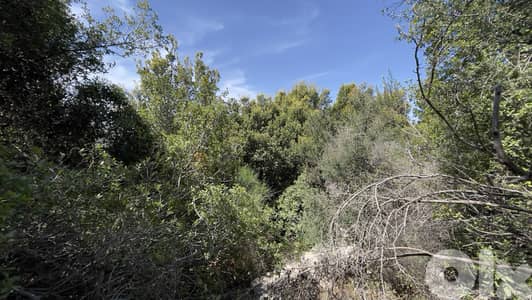 RWB238CA - Land for sale in Hbaline Jbeil