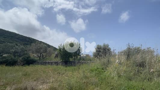 RWB242CA - Land for sale in Monsef Jbeil