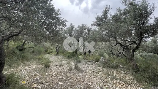 RWB243CA - Land for sale in Barbara Jbeil