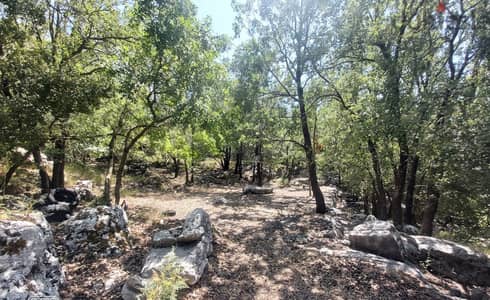 1100 SQM Land+Sea View 4 Sale in Raachine - Keserwan - رعشين - كسروان 1100 SQM Land+Sea View 4 Sale in Raachine - Keserwan - رعشين - كسروان