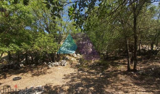 1100 SQM Land+Sea View 4 Sale in Raachine - Keserwan - رعشين - كسروان 1100 SQM Land+Sea View 4 Sale in Raachine - Keserwan - رعشين - كسروان