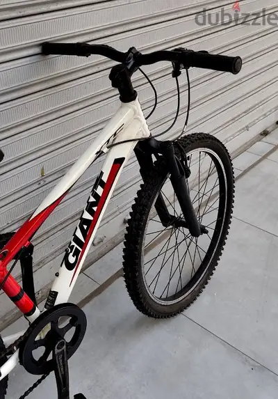 giant bike 24