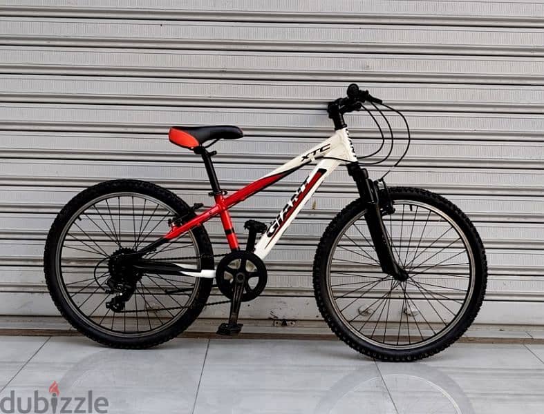 giant bike 24 2