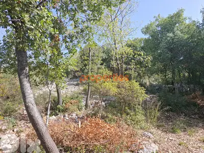Land For sale in Obeidat - Jbeil- أرض للبيع في عبيدات - جبيل- CPKCC24