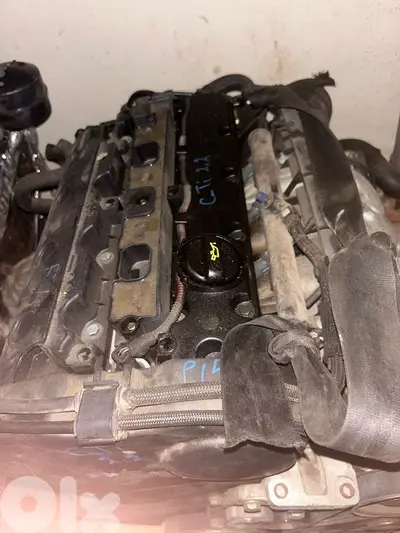 موتيربيجو 206 RC مع ڤيتاس