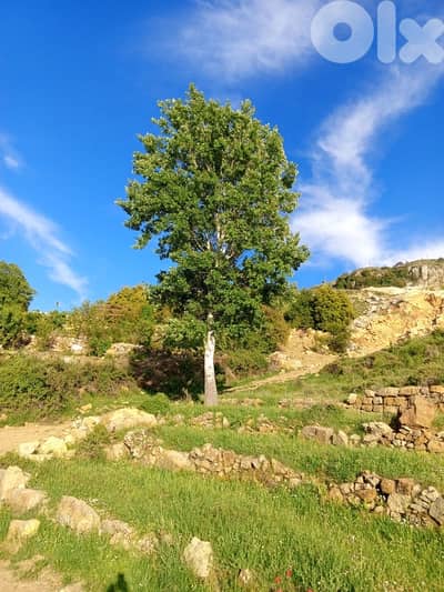 أرض للبيع في عين زحلتا الشوفland for sale in ain zahlta al shouf